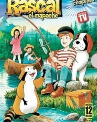 Araiguma Rascal